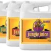Advanced Nutrients Jungle Juice Set Grow, Bloom, Micro 1L, 4L, 10L 1 Advanced Nutrients Jungle Juice Set Grow, Bloom, Micro 1L, 4L, 10L -Negozio online Forniture Da Giardino Italia advanced nutrients jungle juice set grow bloom micro 1l 4l 10l2