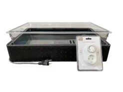 Miniserra Riscaldata 64/50 Con Regolatore Di Temperatura 60x40x25 Cm 10 Miniserra Riscaldata 64/50 Con Regolatore Di Temperatura 60x40x25 Cm -Negozio online Forniture Da Giardino Italia beheiztes zimmergewaechshaus 64 50 temperaturregler4