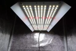 HortiONE 420 V3 LED 150W Full Spectrum -Negozio online Forniture Da Giardino Italia hortione 420 v3 led 150w inkl netzteil4