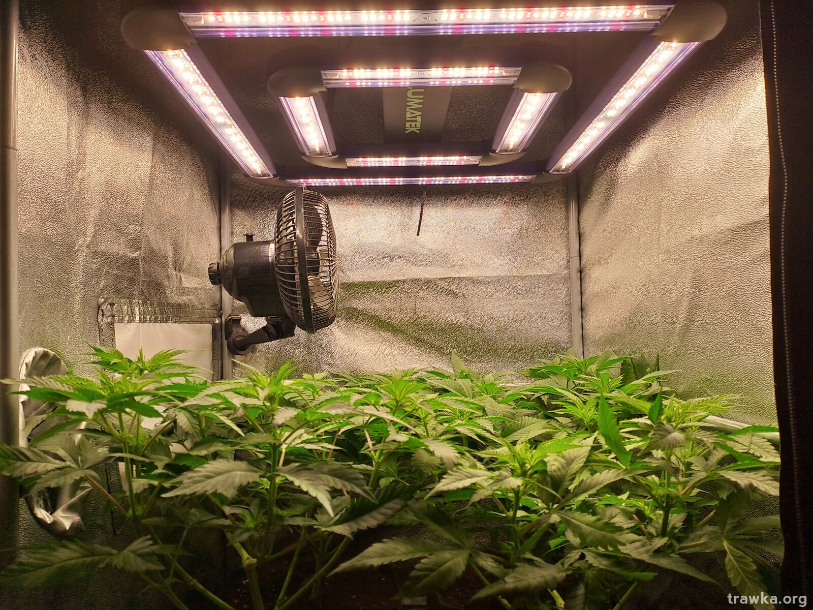 Gazebo Parts Direct Sales Store 33 Gazebo Parts Direct Sales Store -Negozio online Forniture Da Giardino Italia large.20230620 200302.jpg.f30370cc0bd034a280cebc2711515e9e