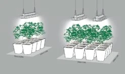 Lucilu Shuttle 6 LED Lampada 240 W Dimmerabile Argento -Negozio online Forniture Da Giardino Italia lucilu shuttle 6 led growlampe 240 w dimmbar silber15