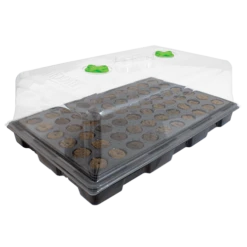 ROOT!T Propagator 57 X 37 X 20 Cm Con Inserto A 60 Fori