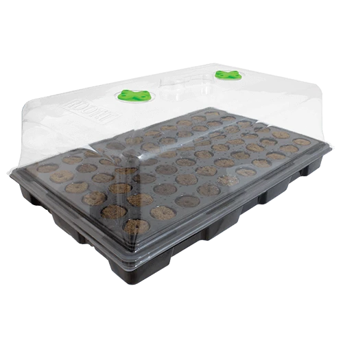 ROOT!T Propagator 57 X 37 X 20 Cm Con Inserto A 60 Fori 3 ROOT!T Propagator 57 X 37 X 20 Cm Con Inserto A 60 Fori