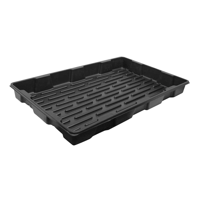 ROOT!T Propagator 57 X 37 X 20 Cm Con Inserto A 60 Fori 5 ROOT!T Propagator 57 X 37 X 20 Cm Con Inserto A 60 Fori - immagine 3