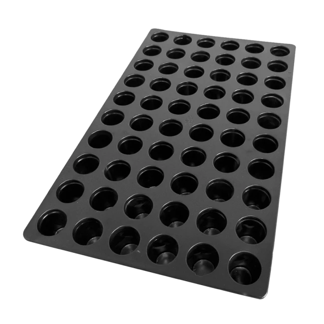 ROOT!T Propagator 57 X 37 X 20 Cm Con Inserto A 60 Fori 6 ROOT!T Propagator 57 X 37 X 20 Cm Con Inserto A 60 Fori - immagine 4