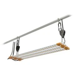 Secret Jardin Cosmorrow Fiore Kit LED 60W -Negozio online Forniture Da Giardino Italia secret jardin cosmorrow bluete kit led 60w