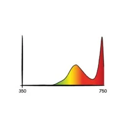 Nuovi arrivi -Negozio online Forniture Da Giardino Italia secret jardin cosmorrow infrarot led 20w 40w3